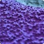 8b52d04a46e47930d48e64092ce747eb.jpg